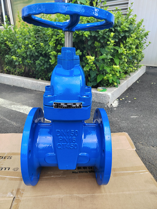 暗桿軟密封閘閥DN150正面