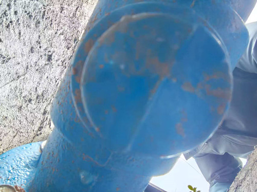 空氣隔斷低阻力倒流防止器